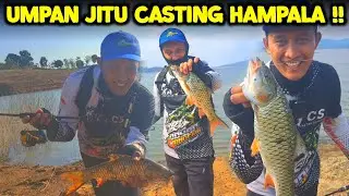 KILLER‼️ Lure casting hampala ini !! Umpan ampuh casting ikan hampala