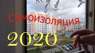 Самоизоляция 2020. COVID19 не унываем.