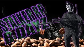 ИЗ STALKER RP В DAYZ
