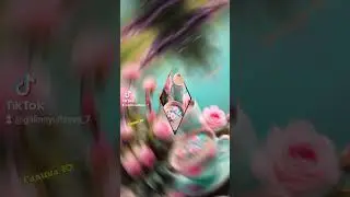 Доброе утро