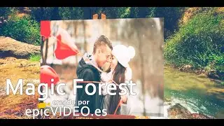 CLIP 🎬 Magic Forest