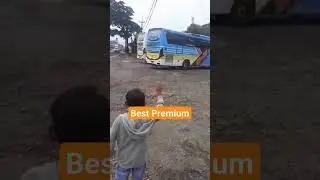 Bus Best Premium