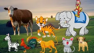 CUTE ANIMALS - COW, FROG, TAPIR, MONKEY, TIGER, PANDA, PIG, HORSE