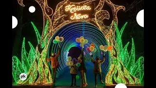 🐰Alicja – Baśniowy Ogród Światła w Parku Źródliska w Łodzi