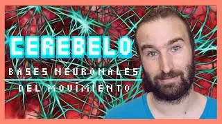 El CEREBELO | 🧠 El Atlas del Cerebro
