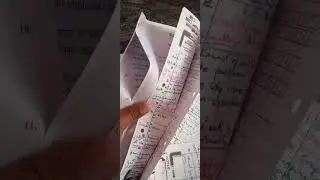 3 November 2023(5)