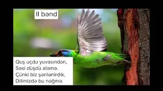 “Anacan “ Musiqiqsi Rafiq Rüstəmov Sözləri Rafiq Zəka.