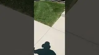 Lawn Results 2 months #lawncare #lawntips