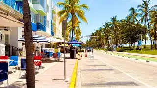 Miami Vlog 🌴 | HAPPY BIRTHDAY @alljasmine1