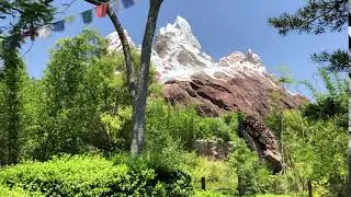 Expedition Everest in Animal Kingdom - 2017 - Walt Disney World