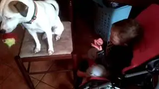 Playing with Talf!