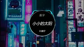 张宇 - 小小的太阳 (DJ庸仔 ProgHouse Remix 2023) 发烧经典, 华语Remix