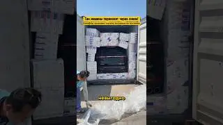 Cars Wrapped in Toilet Paper