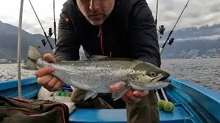 Pesca a traina sulla trota di lago | Ticinopesca