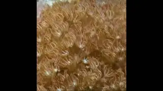 Under water part 3