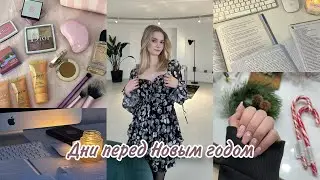 предновогодняя суета : итоги года, уютные дни, саморазвитие //влог