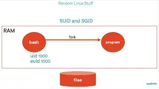 Linux SUID and SGID