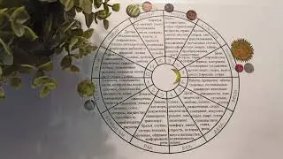 ТЕЛЕЦ ♉ ноябрь. Лунное затмение