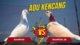 ROBBER VS MAGIC ROBBER (JR ROBBER), WHICH IS FASTER?
