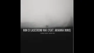 Non ci lasceremo mai (feat. Arianna Duro)