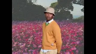 [FREE] Tyler, The Creator x Flower Boy type beat 2022