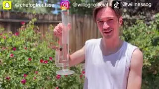 TRYING WEST COAST CURE'S LEMONCELLO RUNTZ w/ WillOG