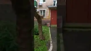 Малая Пироговская, 27, 25 и 23.