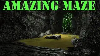 Will To Live Amazing Maze
