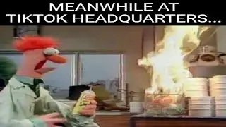 Daily Fresh Memes Picture v18