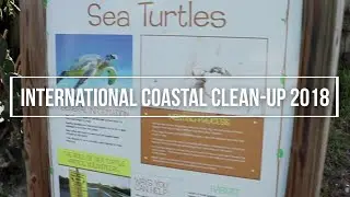 International Coastal Clean Up
