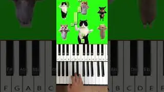 Cat Dancing Chinese Meme Song [Piano Tutorial]