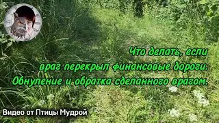 Что сделать, если враг перекрыл финансовые дороги. Обнуление и обратка, сделанного врагом.