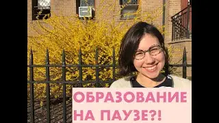 Инстаграм эфир из Нью Йорка