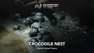 CROCODILE'S NEST Trailer | RIGA IFF 2024