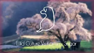 Wild Culture Vs. Karmin - Sugar | Copyright