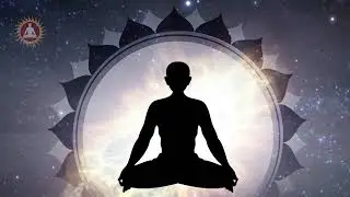 Ardh Shalabhasana (English) Yoga for lumber pain.