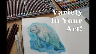 Creating Variety In Your Art - Subjects, Mediums and Styles - Manatee Illustration