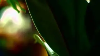 My Sad Captains - Hardly There (Official Video)