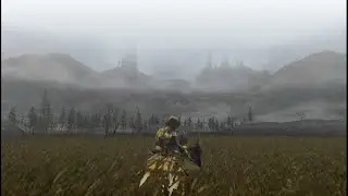 Monster Hunter Sounds - Old Swamp Area 3 Ambience