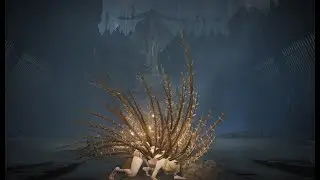 Queen Marika Vs Golden Hippopotamus