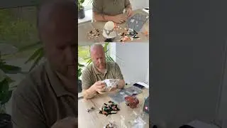 +2 к нашей коллекции