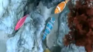 Zuru   Robo Fish