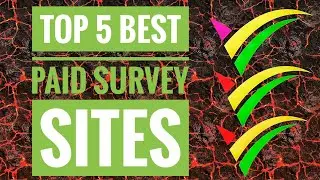 TOP 5  PAID SURVEY WEBSITES