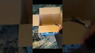 NINJA PROFESSIONAL PLUS BLENDER WITH AUTO-IQ (UNBOXING)