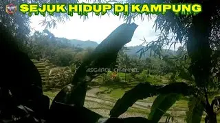 Beginilah Alam Pedesaanku Suasananya segar || Asgarcil channel