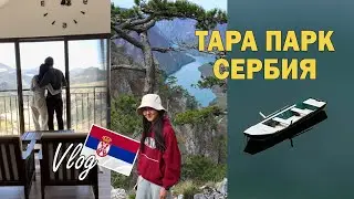 Национальный парк ТАРА | Сербская швейцария | ВЛОГ