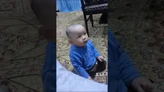 Синий трактор Азирет❤️