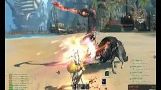 Blade and Soul gameplay
