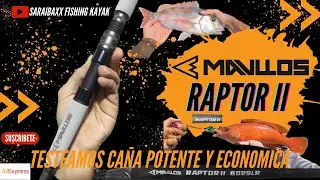 ESTA ESPECIE ES PRECIOSA BRUTAL / MAVLLOS ESTRECHO DE GIBRALTAR / LA REALIDAD DE LA PESCA #7 #pesca
