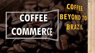 Coffee Beyond to Brazil | COFFEE COMMERCE